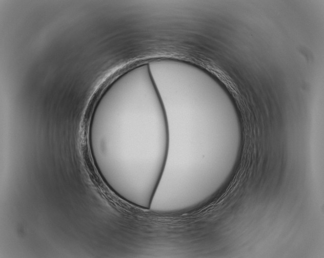 X0000115820628200911131107