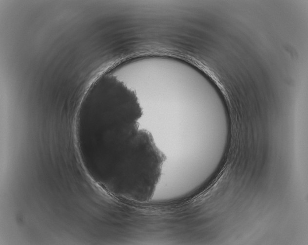 X0000115820629200911131107