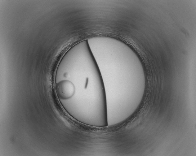 X0000115820634200911131107