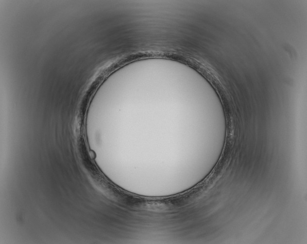 X0000115820636200911131107