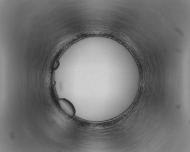 X0000115820640200911131107