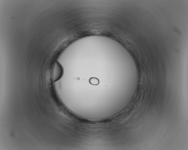 X0000115820646200911131107