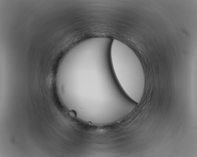 X0000115820647200911131107