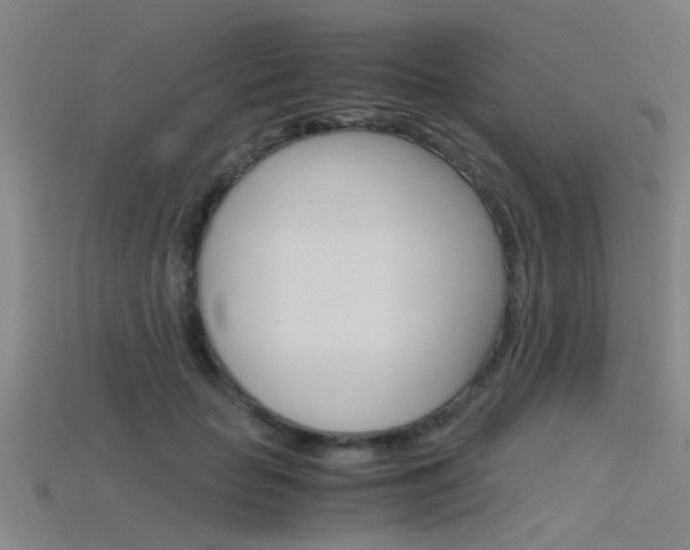 X0000115820653200911131107