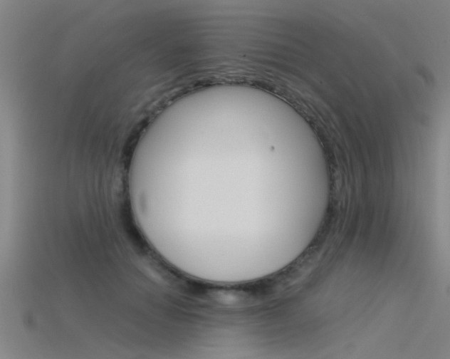 X0000115820654200911131107