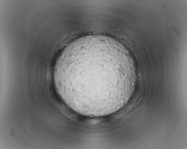 X0000115820662200911131107