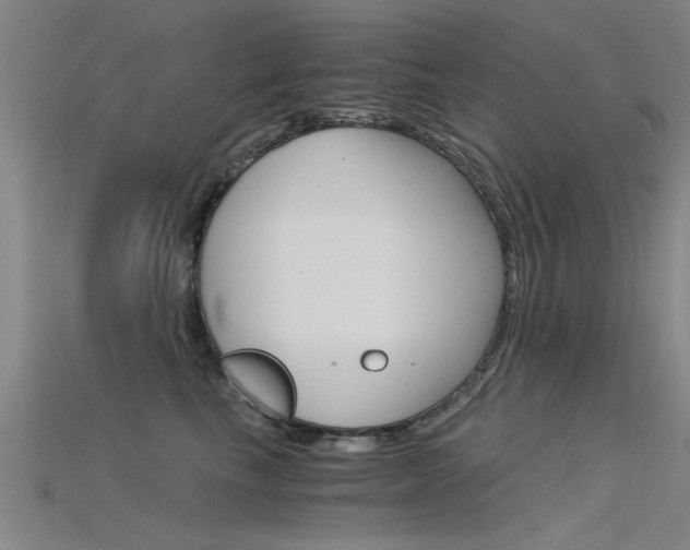 X0000115820665200911131107