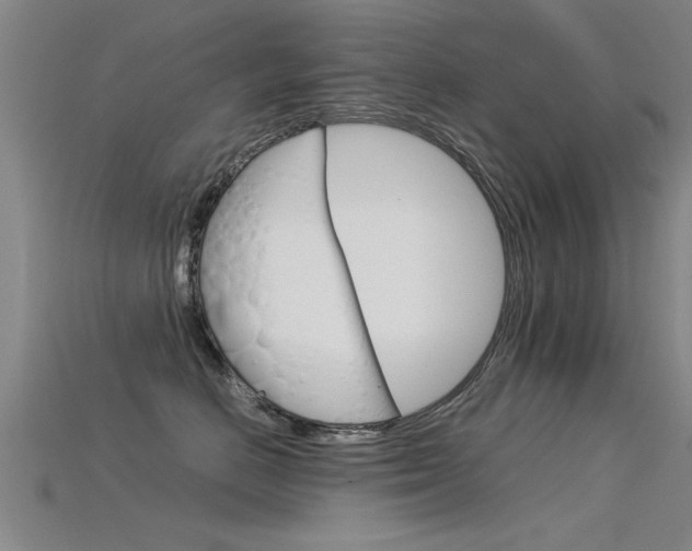 X0000115820670200911131107