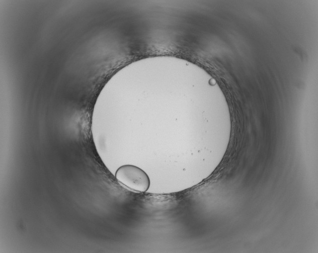X0000115820672200911131107