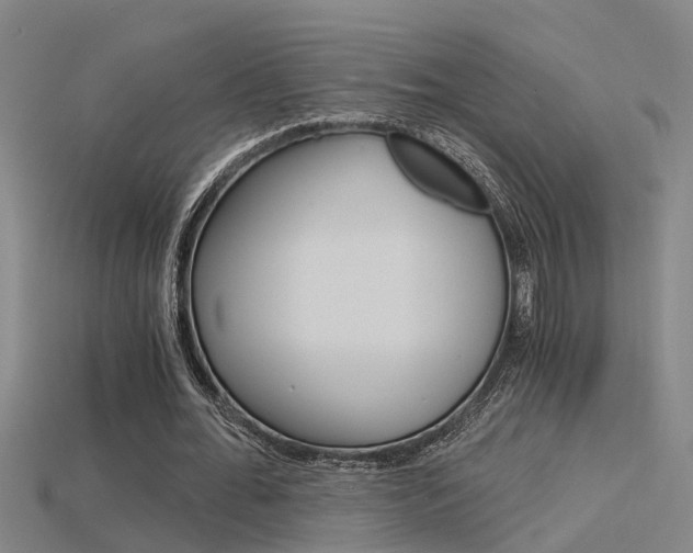 X0000115820676200911131107
