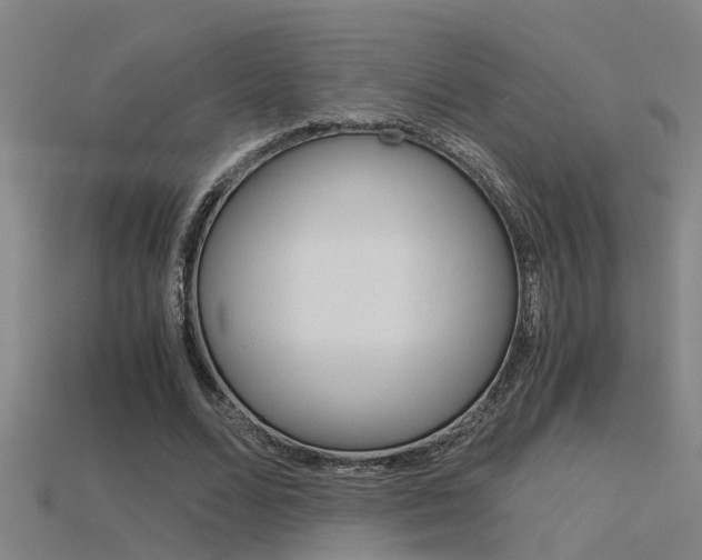 X0000115820680200911131107