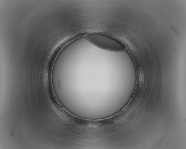 X0000115820684200911131107
