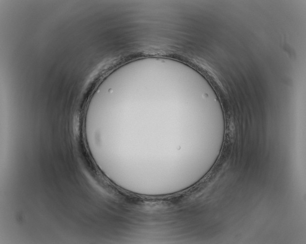 X0000115820686200911131107