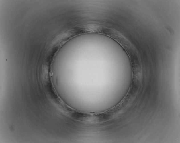 X0000115820696200911131106