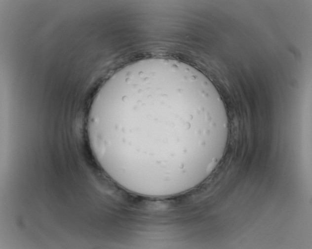 X0000115820698200911131106