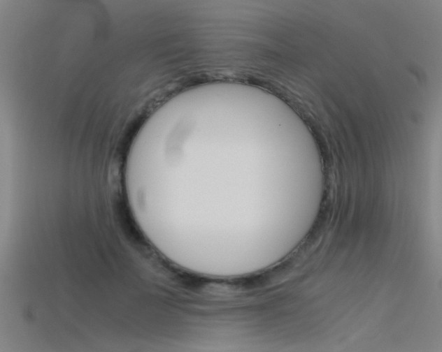 X0000115820699200911131106