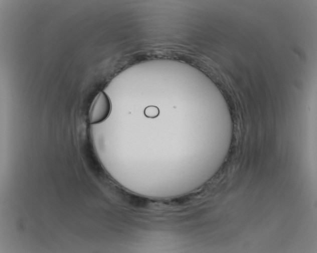 X0000115820703200911131106