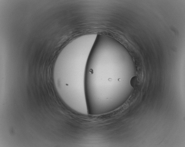 X0000115820704200911131106