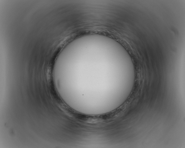 X0000115820708200911131106