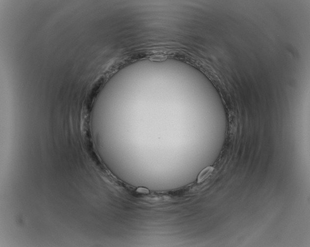 X0000115820712200911131106