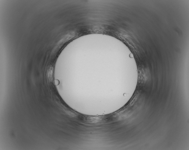 X0000115820717200911131106