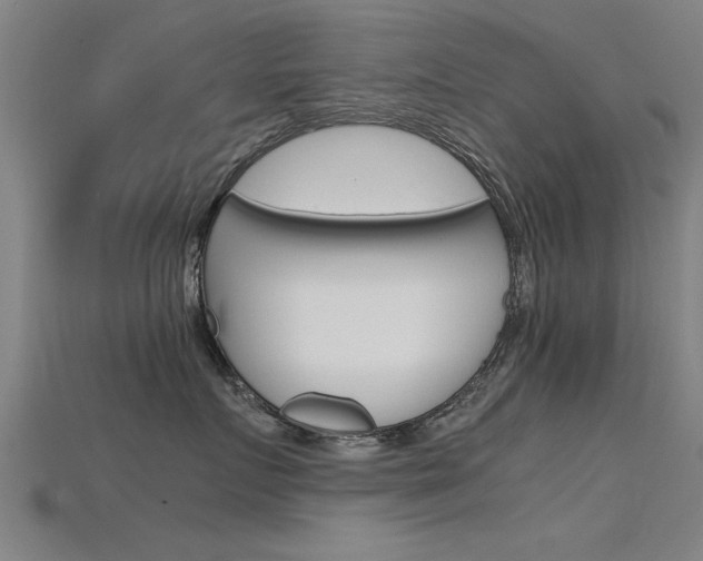 X0000115820719200911131106