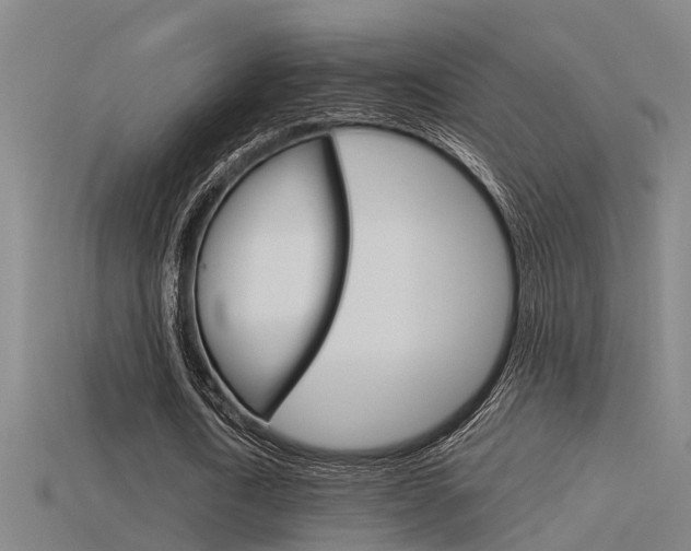 X0000115820722200911131105