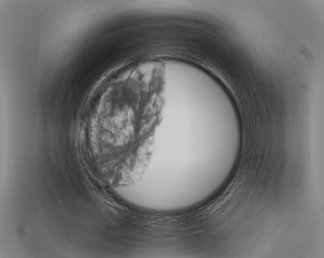 X0000115820723200911131105