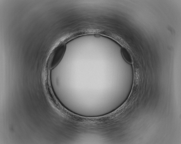 X0000115820726200911131105