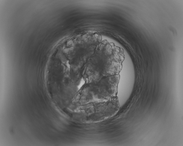 X0000115820733200911131105