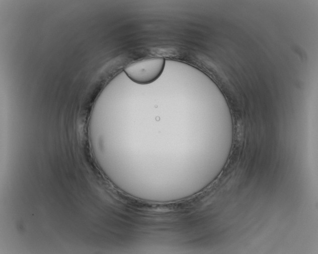 X0000115820741200911131106
