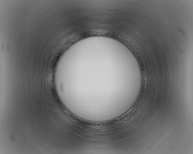 X0000115820745200911131106