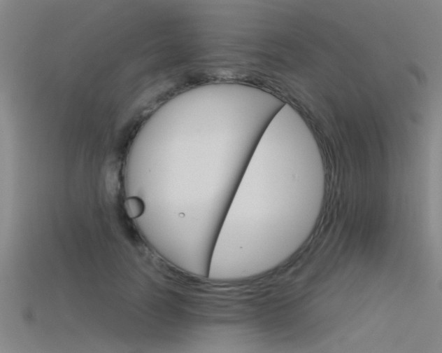 X0000115820746200911131106