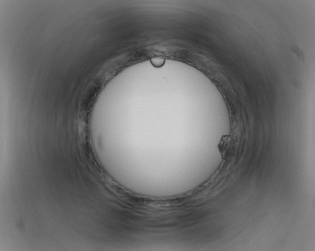 X0000115820749200911131106
