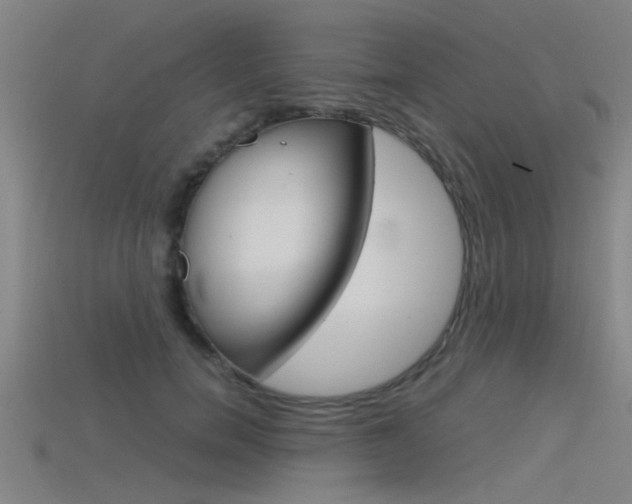 X0000115820750200911131106