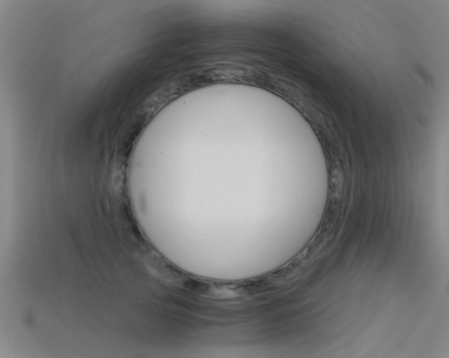 X0000115820753200911131106