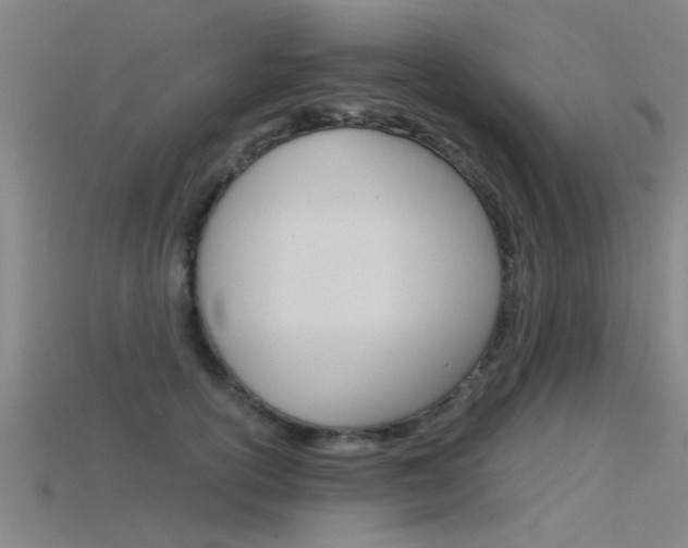 X0000115820754200911131106