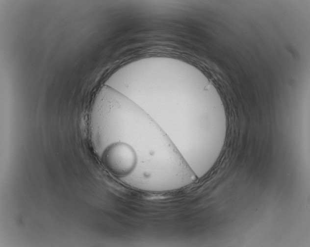 X0000115820759200911131106