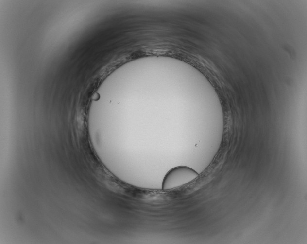 X0000115820761200911131106