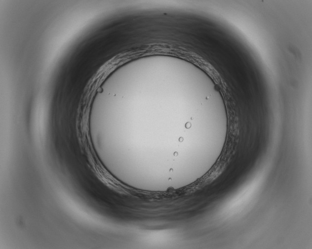 X0000115820765200911131106