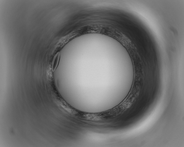 X0000115820766200911131106