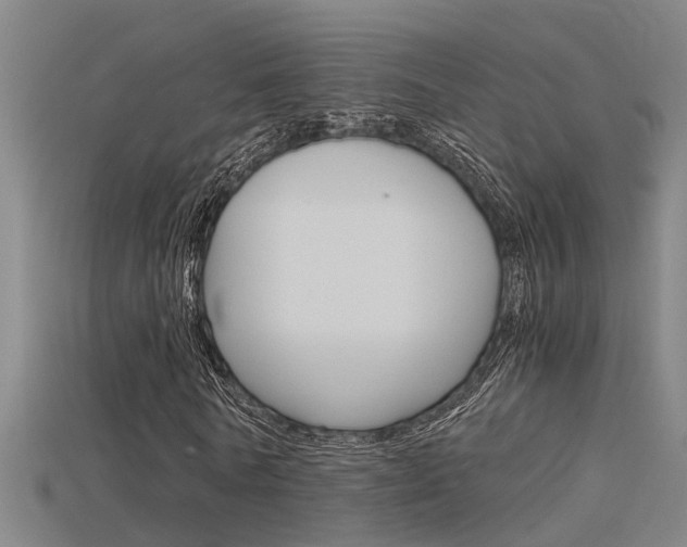 X0000115820770200911131105