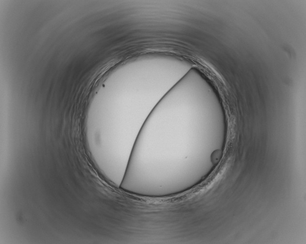 X0000115820777200911131105