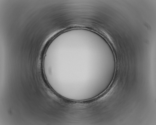 X0000115820779200911131105