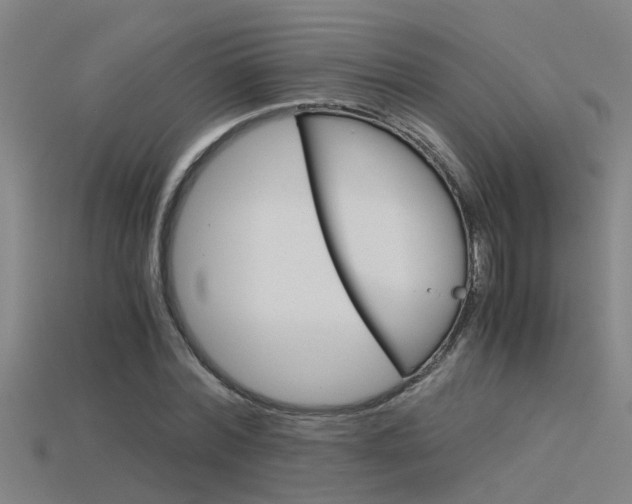 X0000115820780200911131105
