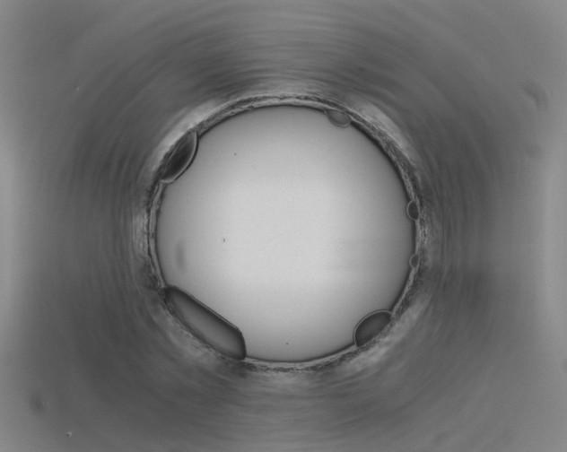 X0000115820781200911131105