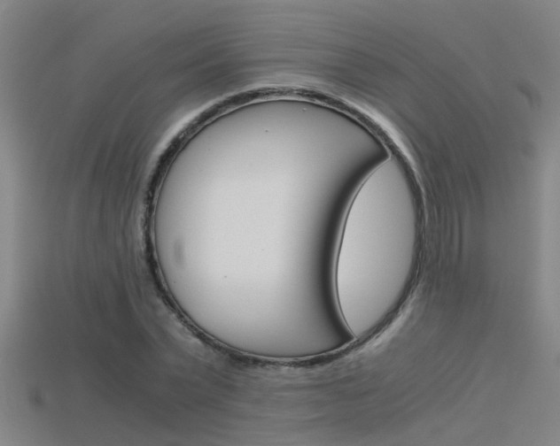 X0000115820783200911131105