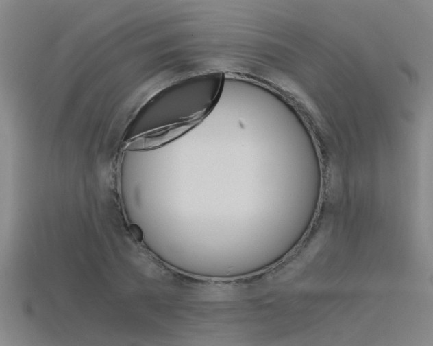 X0000115820785200911131105