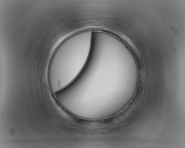 X0000115820791200911131105