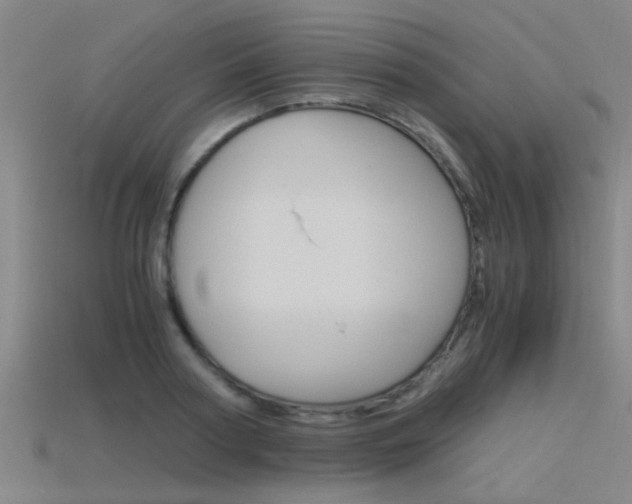 X0000115820794200911131105
